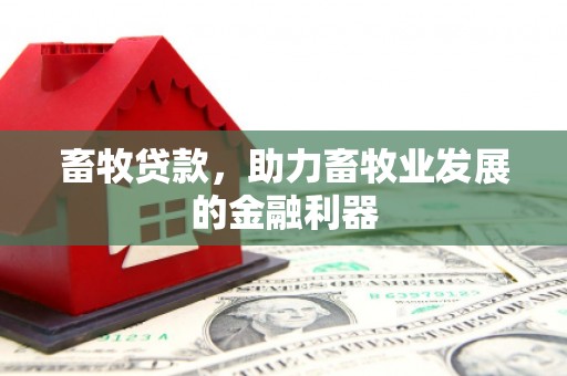 钦州畜牧贷款，助力畜牧业发展的金融利器