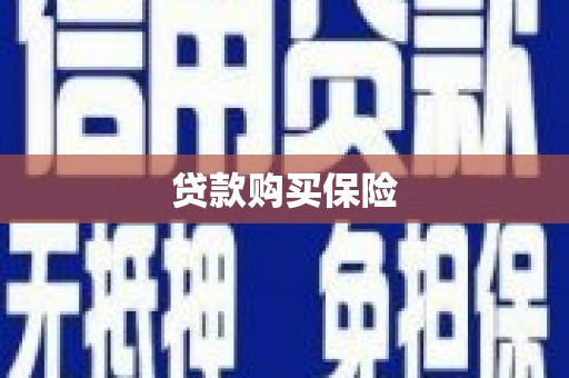 钦州贷款购买保险