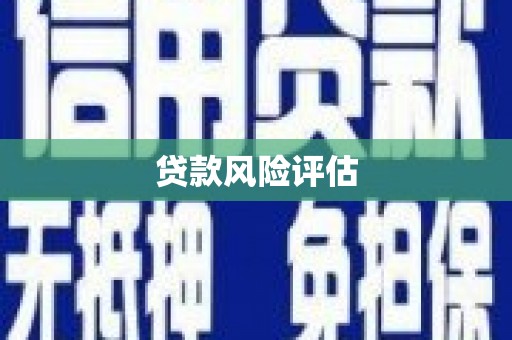 钦州贷款风险评估