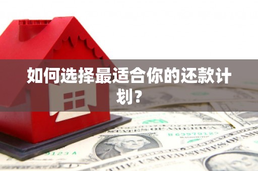 钦州如何选择最适合你的还款计划？