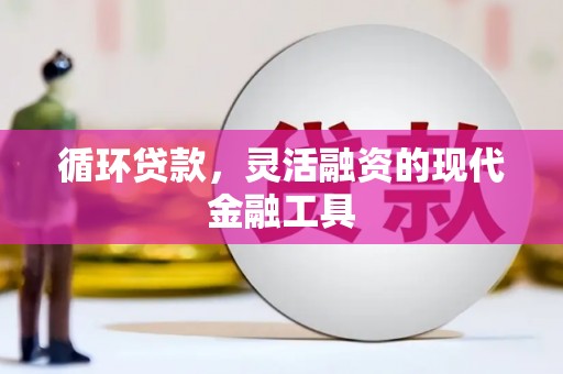 钦州循环贷款，灵活融资的现代金融工具
