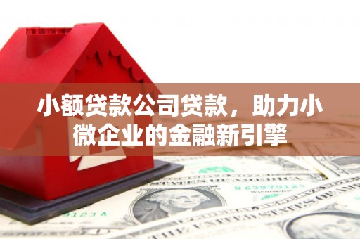 钦州小额贷款公司贷款，助力小微企业的金融新引擎