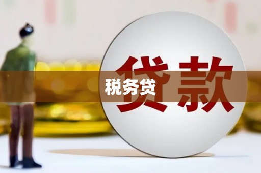钦州税务贷