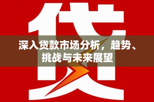 钦州深入贷款市场分析，趋势、挑战与未来展望