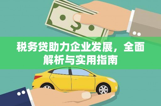 钦州税务贷助力企业发展，全面解析与实用指南