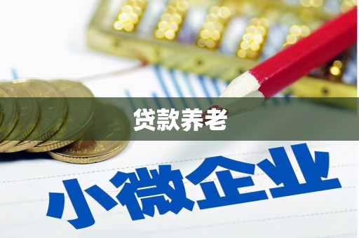 钦州贷款养老