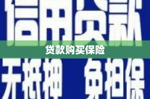 钦州贷款购买保险