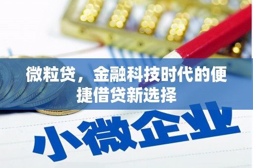 钦州微粒贷，金融科技时代的便捷借贷新选择