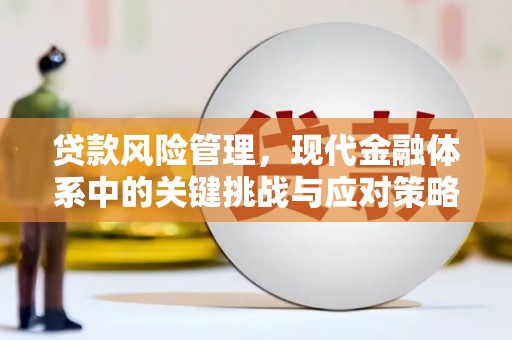 钦州贷款风险管理，现代金融体系中的关键挑战与应对策略