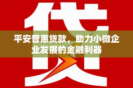 钦州平安普惠贷款，助力小微企业发展的金融利器