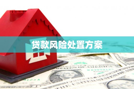 钦州贷款风险处置方案