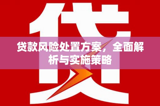 钦州贷款风险处置方案，全面解析与实施策略